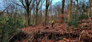 Exkursion Naturschutz im Imstenraderbos