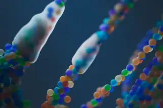 Mini-Vorlesungen über DNA