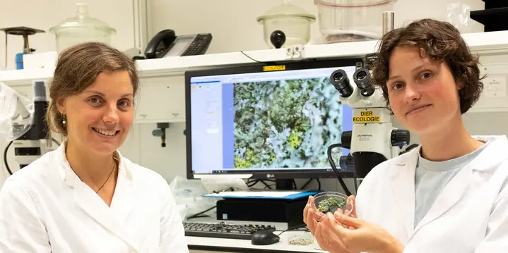 Family Lecture: The Hidden World of Lichens — Natuurhistorisch Museum Rotterdam, Rotterdam