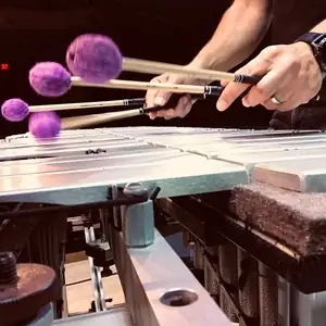 Miro Herak
