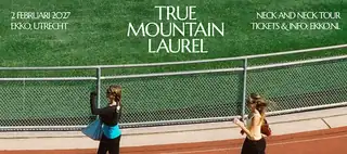 True Mountain Laurel