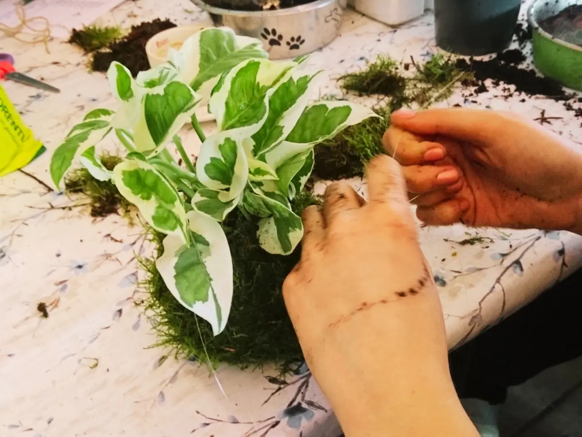 Kokedama Workshop — Leiden