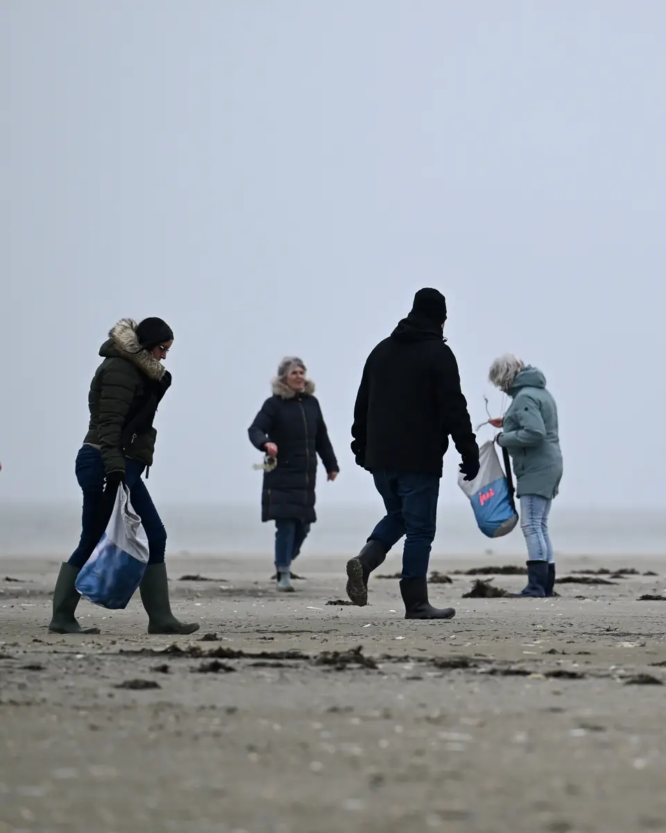 Aufräumtour: Muscheln und Seehunde beobachten — Haven 6, Lauwersoog