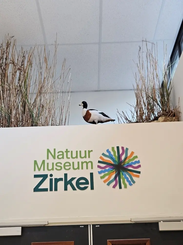 Zirkel: Animal Hunt — Natuurmuseum Zirkel, Zaandam