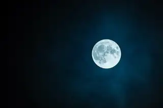 Nacht van de Nacht | Wandelen en theater