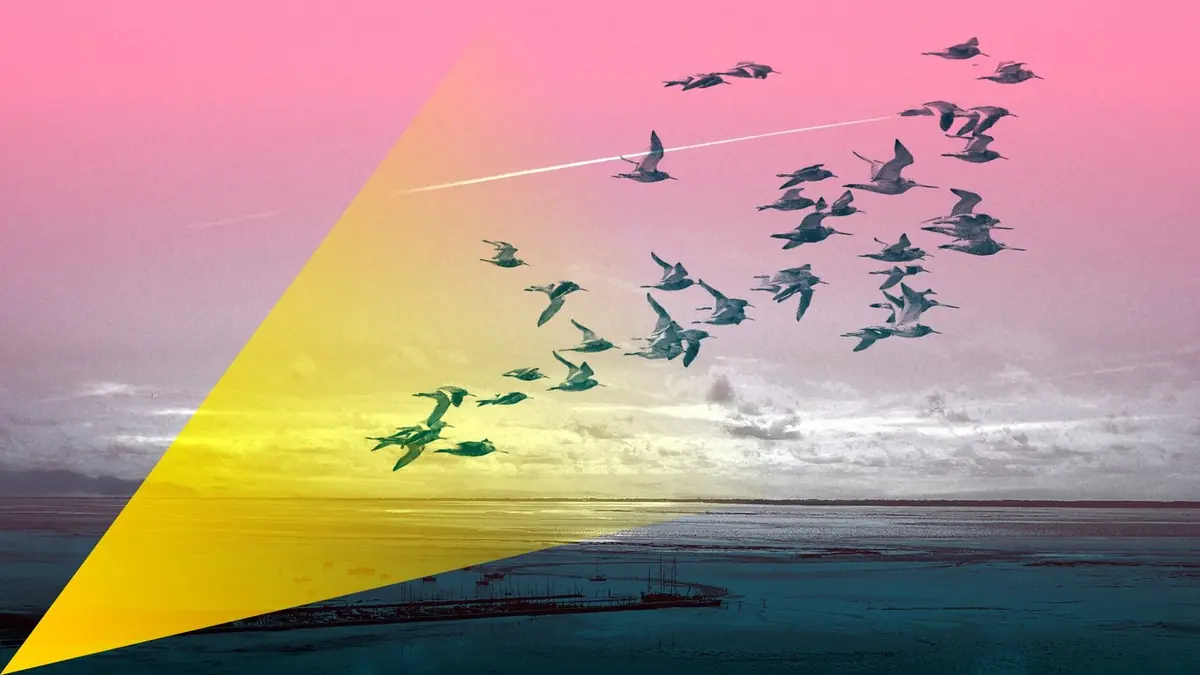 MMATL - Zugvögelwanderung mit Bernadette Gallagher und Katie Goh — Informatiecentrum het Baken, Schiermonnikoog