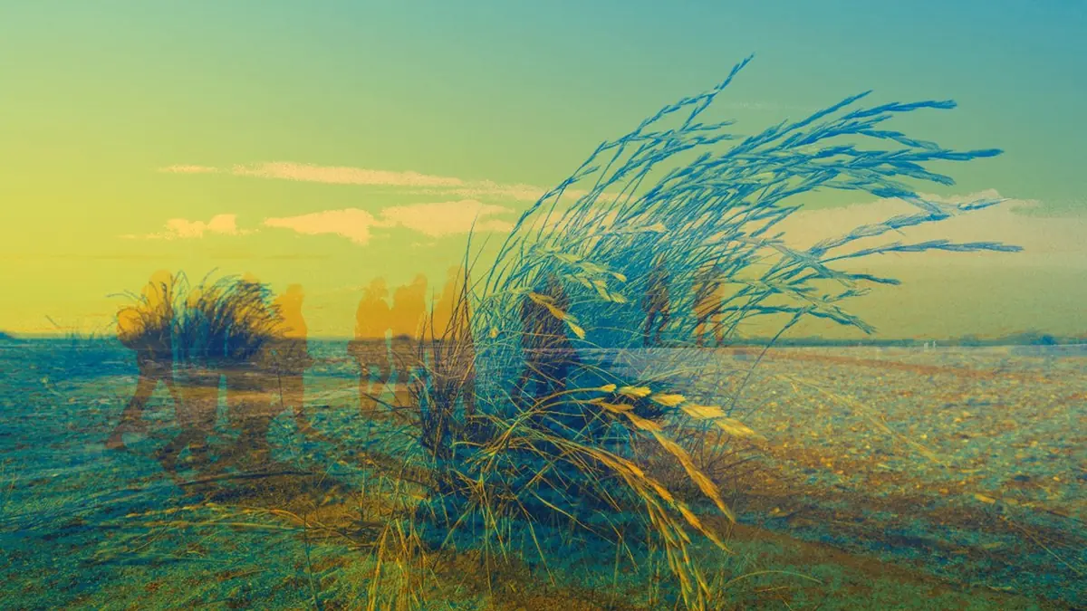 MMATL - Wanderung mit Tjesse Riemersma — Fietsenstalling strandopgang de Marlijn, Schiermonnikoog