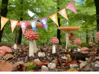 50-Jahr-Jubiläumsfeier Huis ter Heide