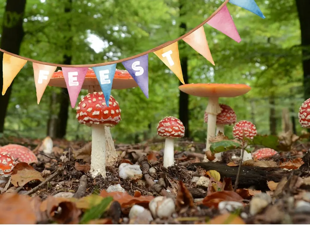 50-Jahr-Jubiläumsfeier Huis ter Heide — Parkeerplaats natuurbegraafplaats, De Moer (Loon op Zand)