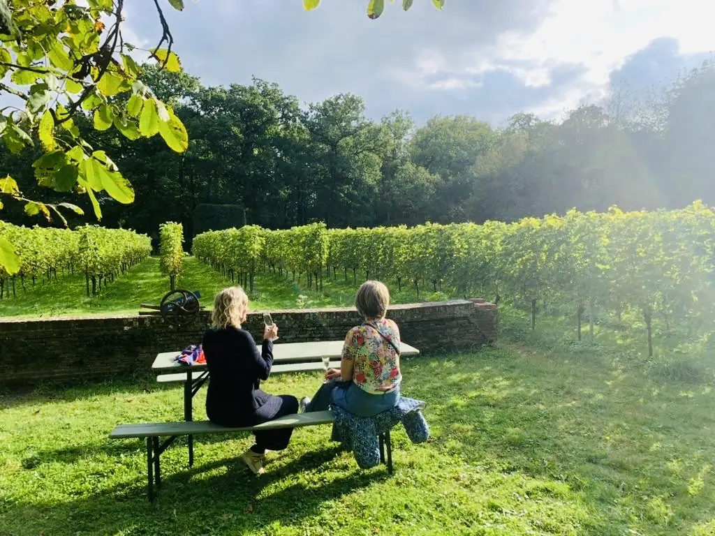 Wine Tasting at the Vineyard — Land en Boschzigt, 's-Graveland
