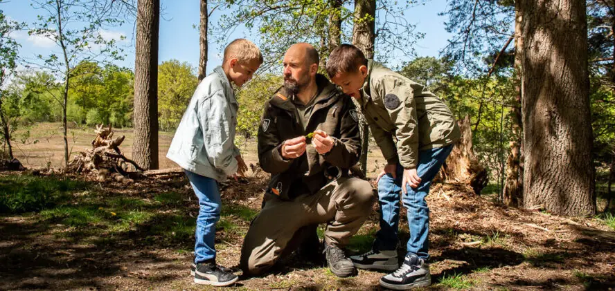 Nature Scavenger Hunt (6+) — Laren