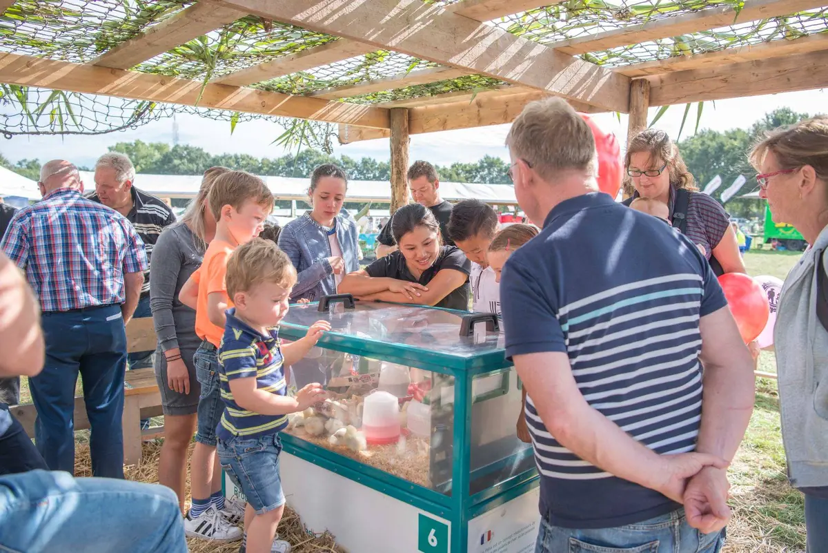 Woensdrechtse Boerendag β Hoogerheide