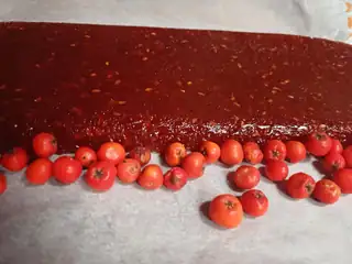 Tapas aus wilden Beeren und Samen