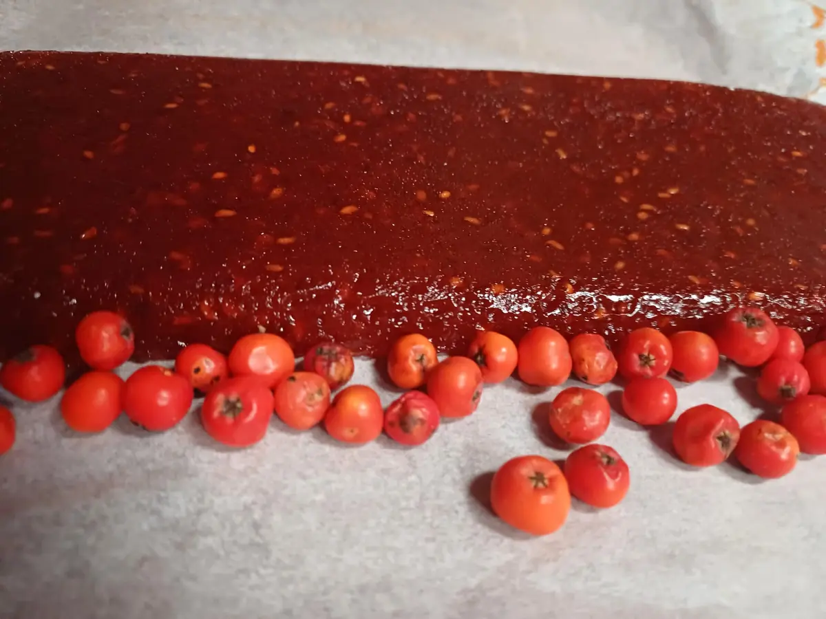 Tapas of Wild Berries and Seeds — Kerklaan 30, Haren