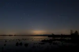 Night Nature Adventure in the Lauwersmeer