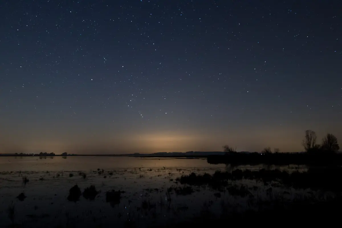 Night Nature Adventure in the Lauwersmeer — Activiteitencentrum Lauwersnest, Lauwersoog