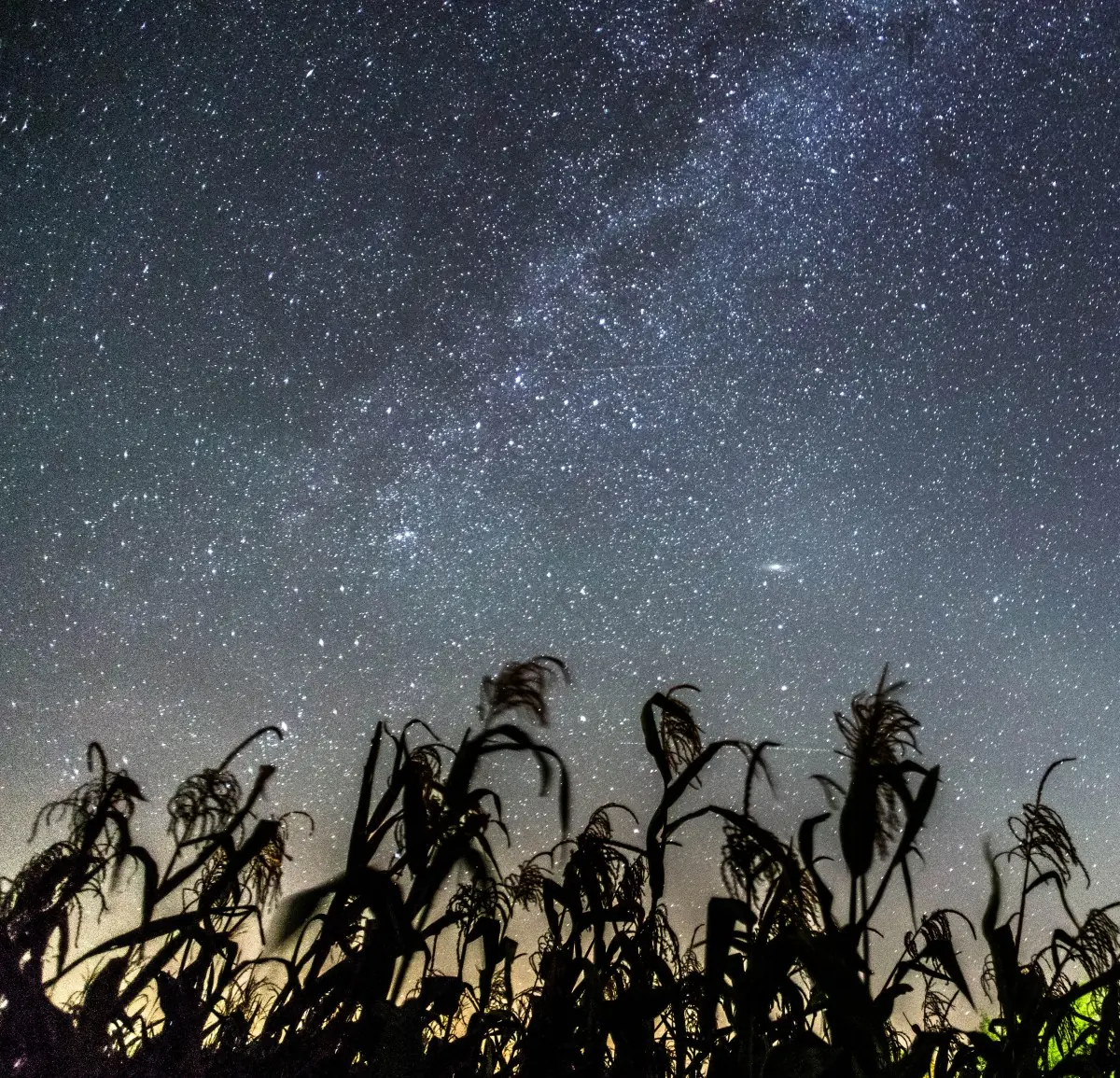 Stargazing walk with guide - Dokkum — Activiteitencentrum Lauwersnest, Lauwersoog