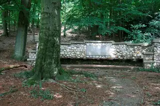 Commemoration of Three Arnhem Residents Shot in Rozendaal/Velp