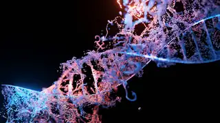 Schneiden und Einfügen von menschlicher DNA?