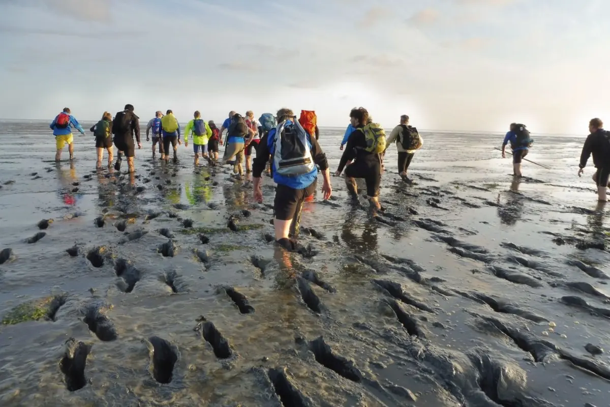 Mudflat walking to Ameland β Holwerd