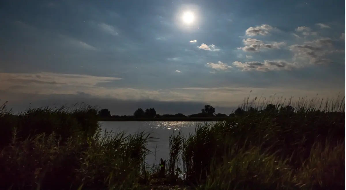 Full Moon Walk at Lauwersmeer — Activiteitencentrum Lauwersnest, Lauwersoog