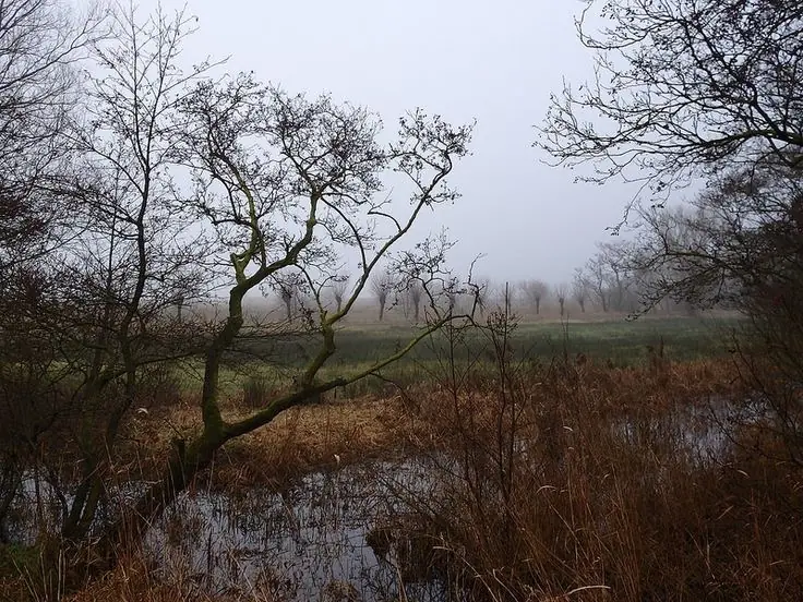 Herfstwandeling in de Lettelberterpetten. — De Hooilanden 12, Lettelbert