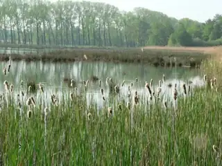Valkenhorst auf Film und Fotos