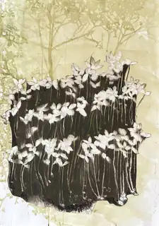 Expositie ‘Mixed Media on Paper’ van Caroline Serton.