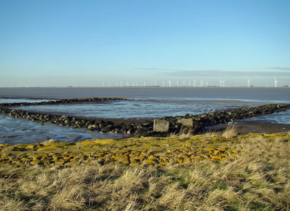 Walk at Punt van Reide — Dallingeweersterweg 30, Termunten