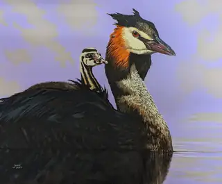 Farbenfrohe Vogelmalereien von José Bakker