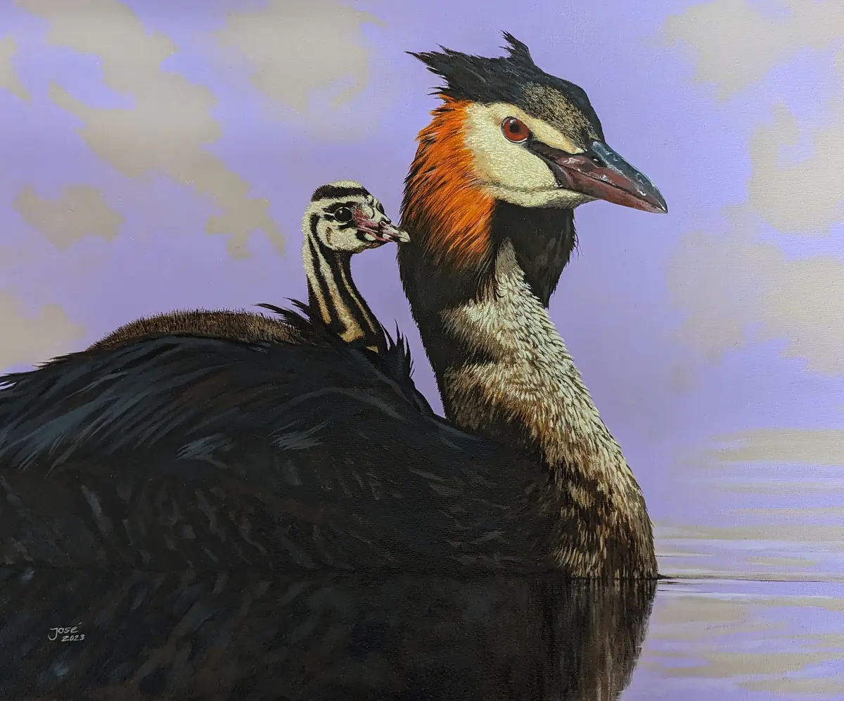 Farbenfrohe Vogelmalereien von José Bakker — Wolddijk 103, Groningen