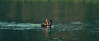 Silent Flood