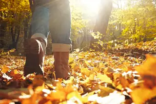 Herbstspaziergang Nijeveen