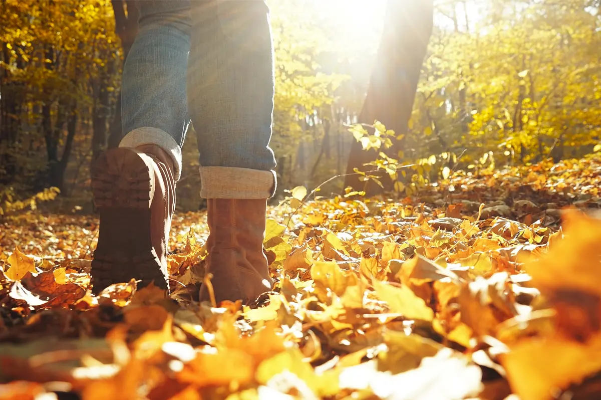 Herbstspaziergang Nijeveen — Dorpsstraat 1, Nijeveen