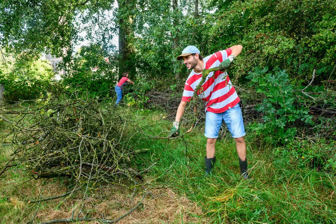 Kom helpen bij de Natuurwerkdagen in de Kaapse Bossen — Boswachterskantoor Kaapse Bossen, Doorn