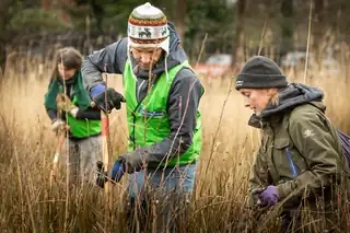 Help at the Natuurwerkdagen on the Soesterveen
