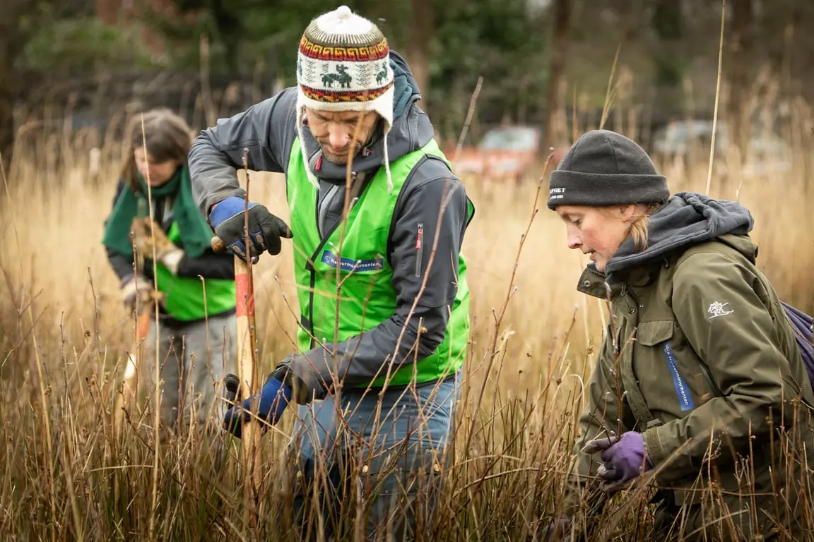 Help at the Natuurwerkdagen on the Soesterveen — Soest, parkeerplaats Soesterveen, Soest