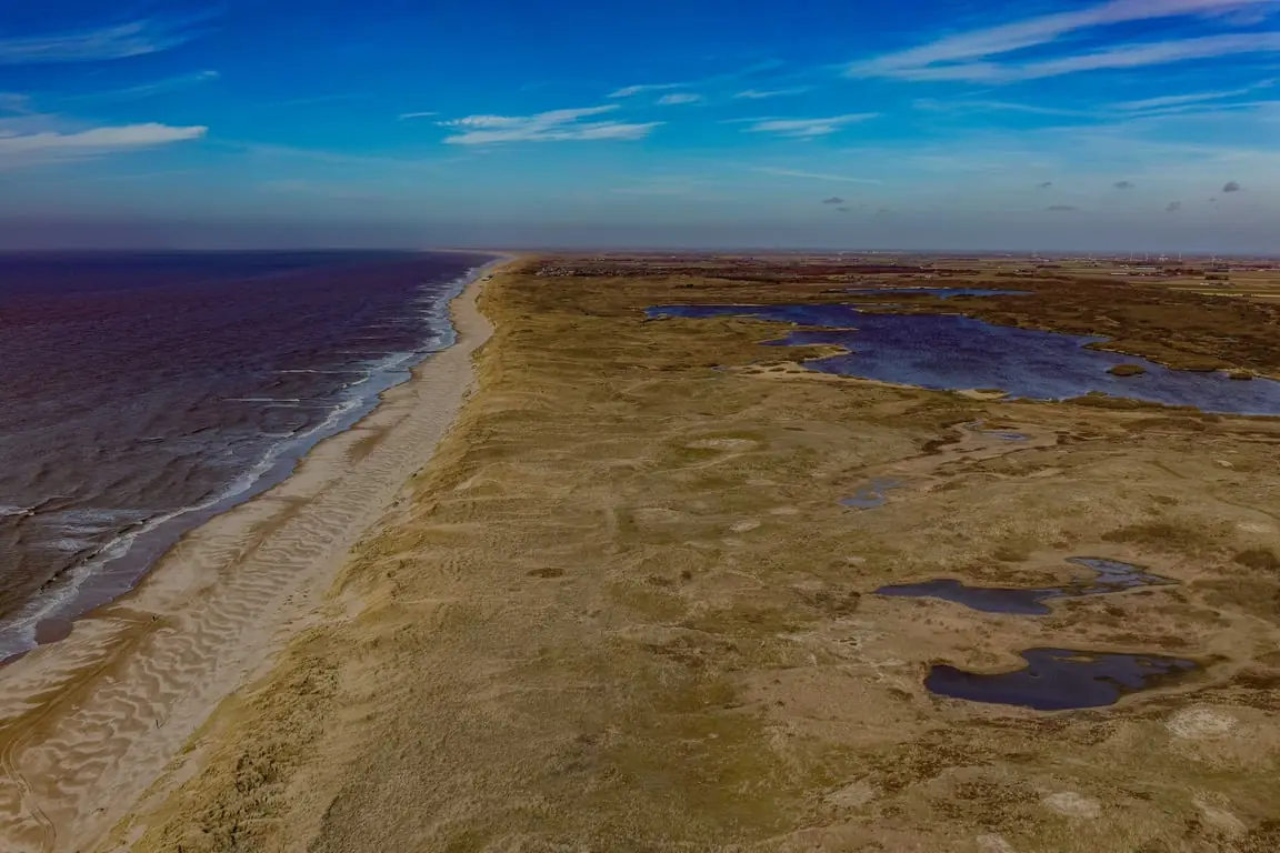 Free nature restoration excursion Zwanenwater — Parkeerplaats het Zwanenwater, Callantsoog, Callantsoog