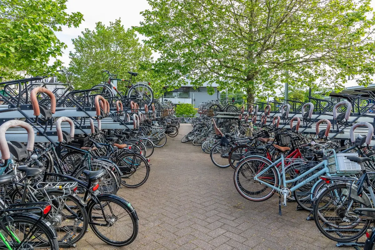 Stichting Uit de Kunst Woensdrecht | Exhibition — Bibliotheek in Hoogerheide, Hoogerheide