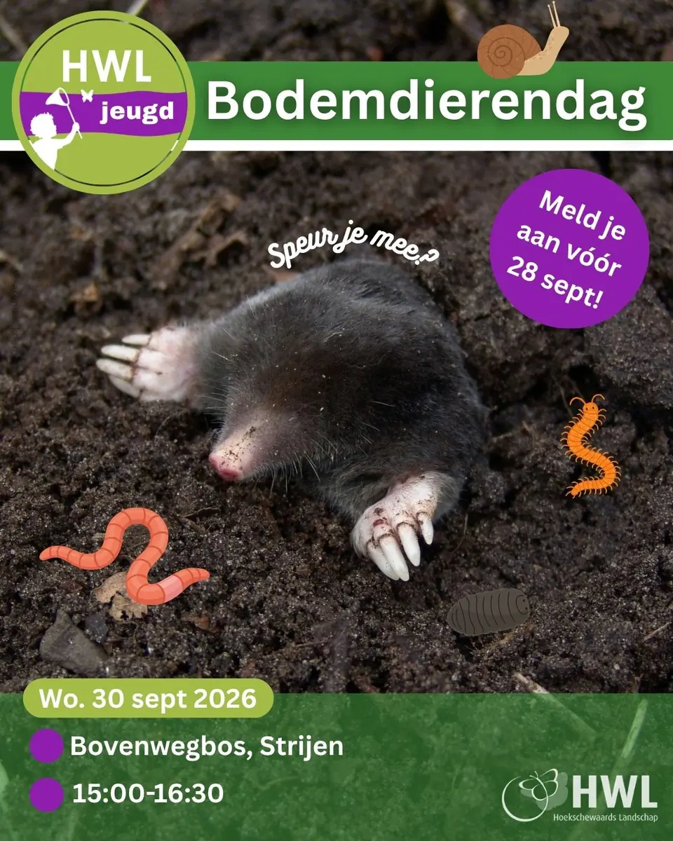 Bodentier-Tag Strijen — Strijen