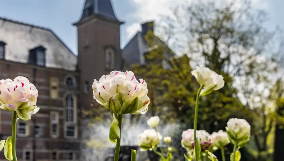Twickel | Castle Gardens — Kasteel en landgoed Twickel, Delden