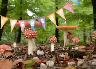 Jubilee celebration Huis ter Heide nature reserve