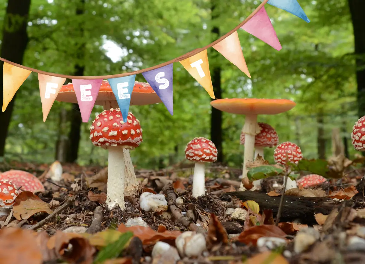 Jubilee celebration Huis ter Heide nature reserve — De Moer