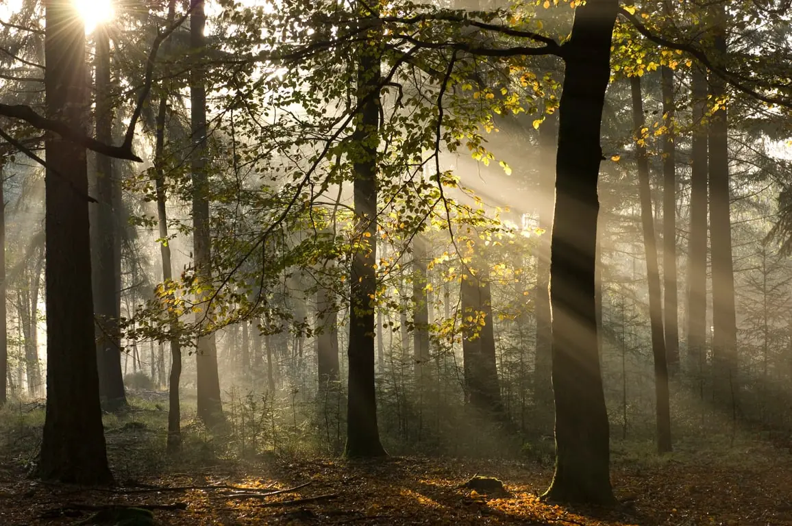 Herfstwandeling op Veluwezoom — Velp, parkeerplaats zwembad Beekhuizen, Velp