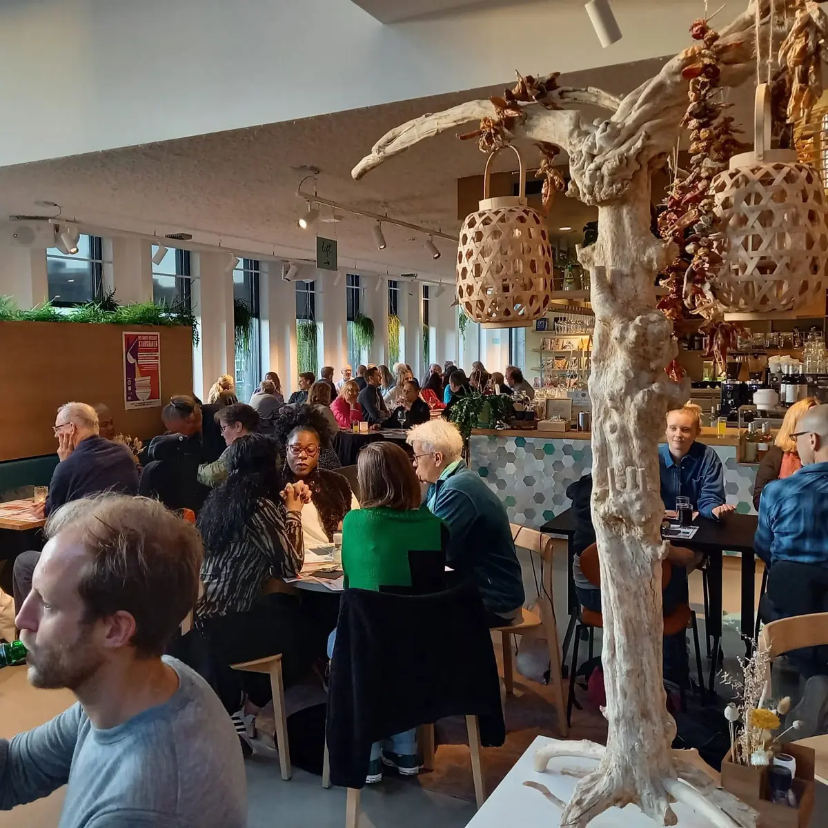 The Great Utrecht City Dinner on World Day for Overcoming Extreme Poverty — Bibliotheek Neude, Utrecht