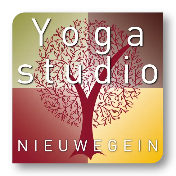 Yin/Yang Yoga Thursday 19:15 — Nieuwegein