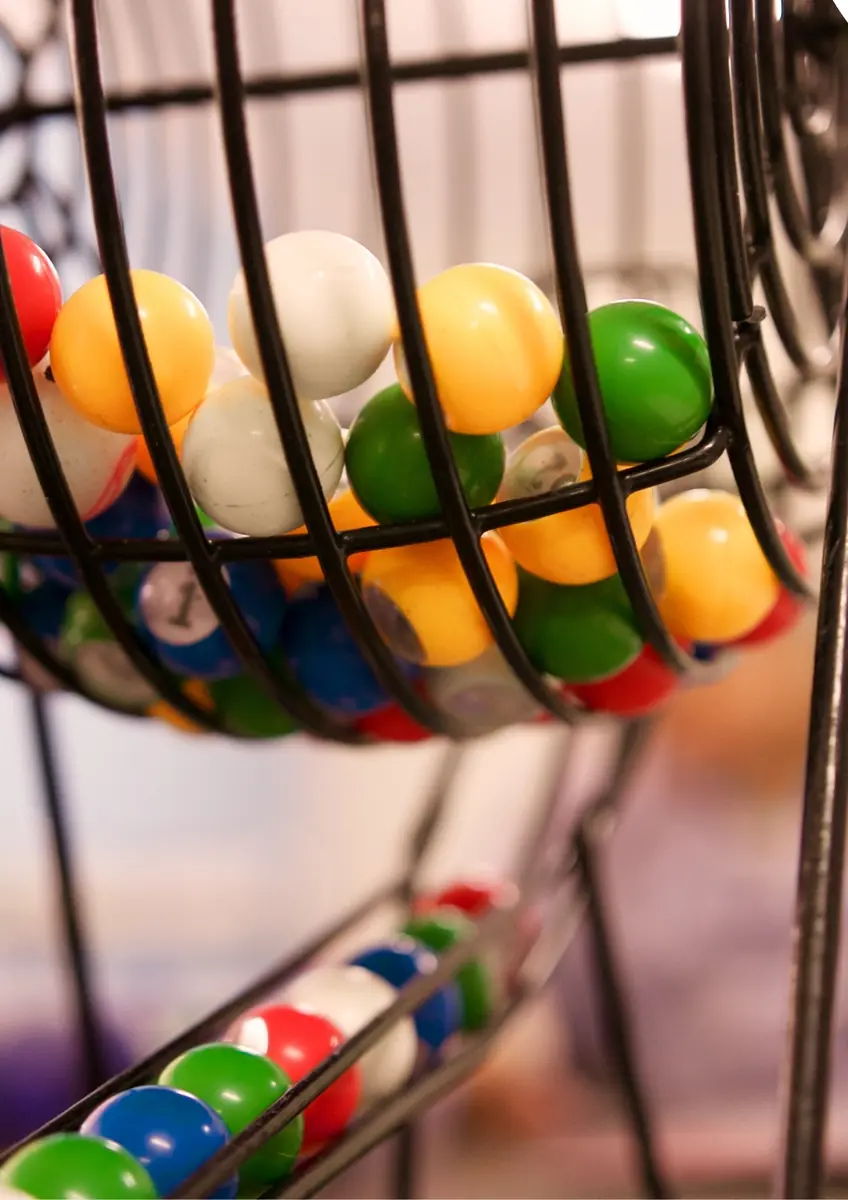 Digihandig Bingo: Learn, Play and Discover! — Driebergen-Rijsenburg