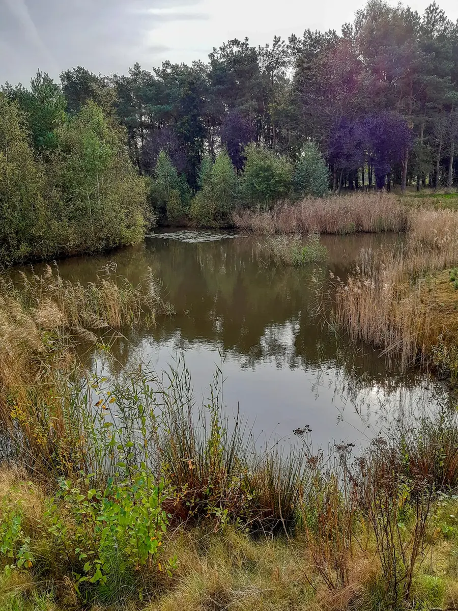Nature Excursion at Golf Wouwse Plantage — Bergen op Zoom