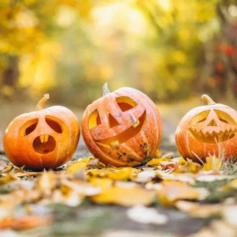 Making Pumpkin Lights — Pieterburen