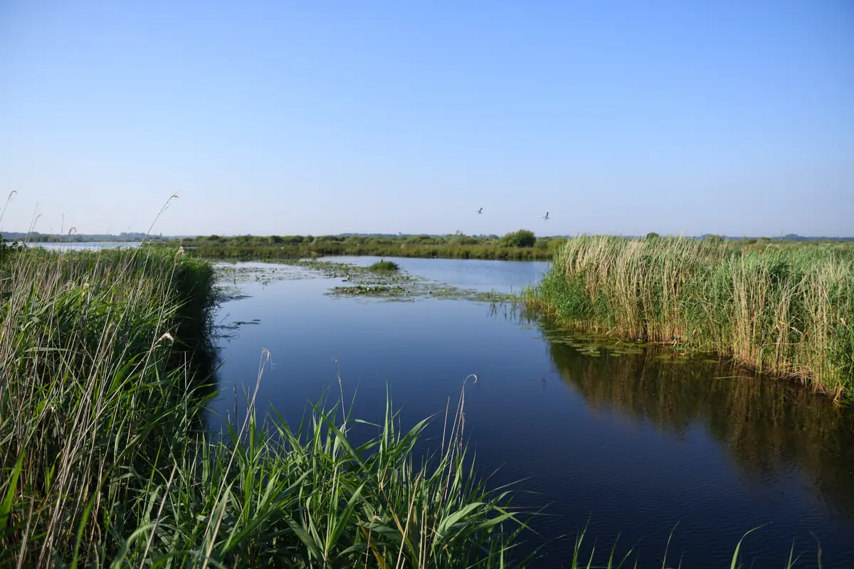 Into Nature: Haunted by Waters — Eelde